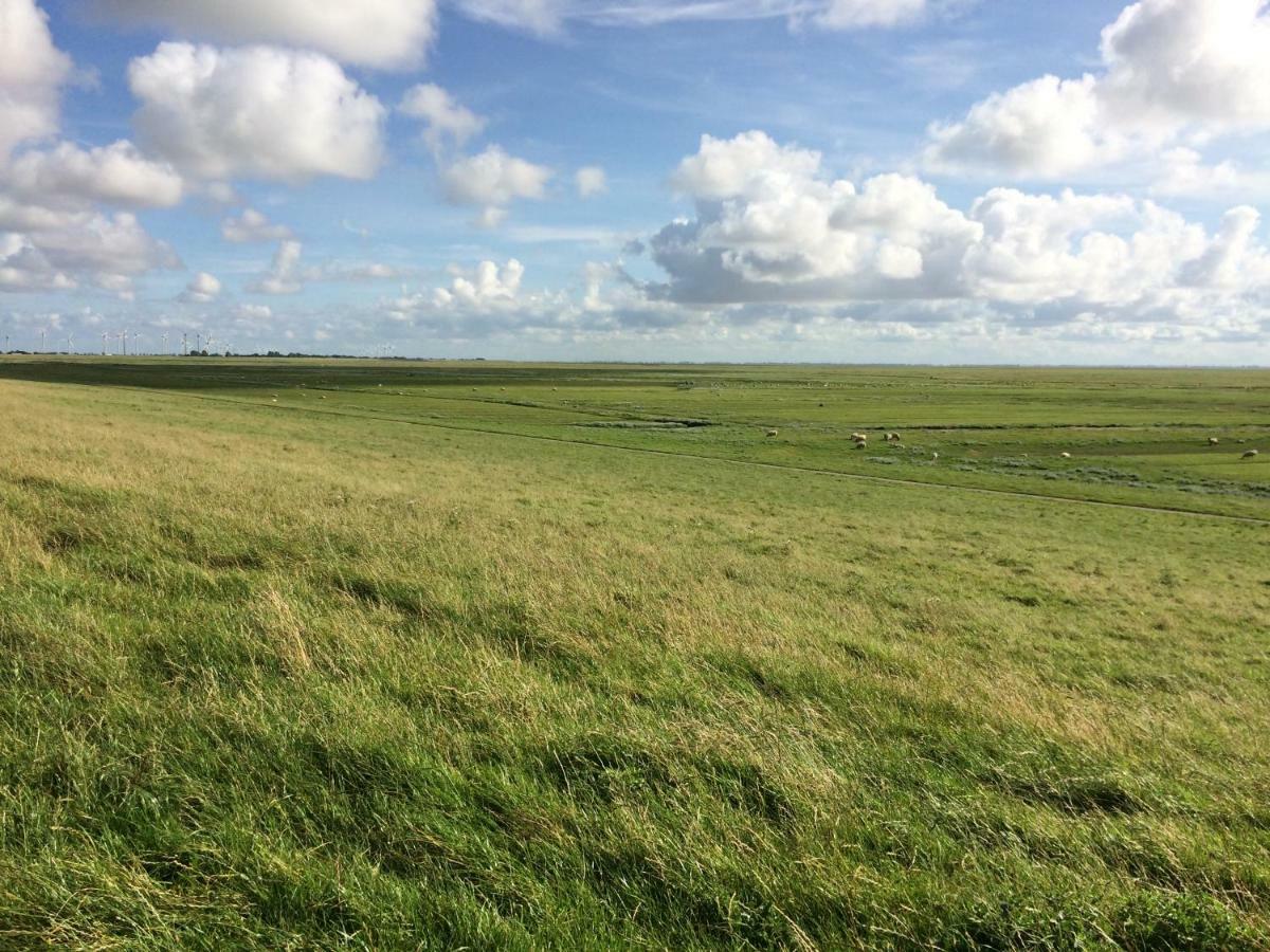 Landhaus Nordsee-Peerhuus Friedrichskoog Exteriör bild